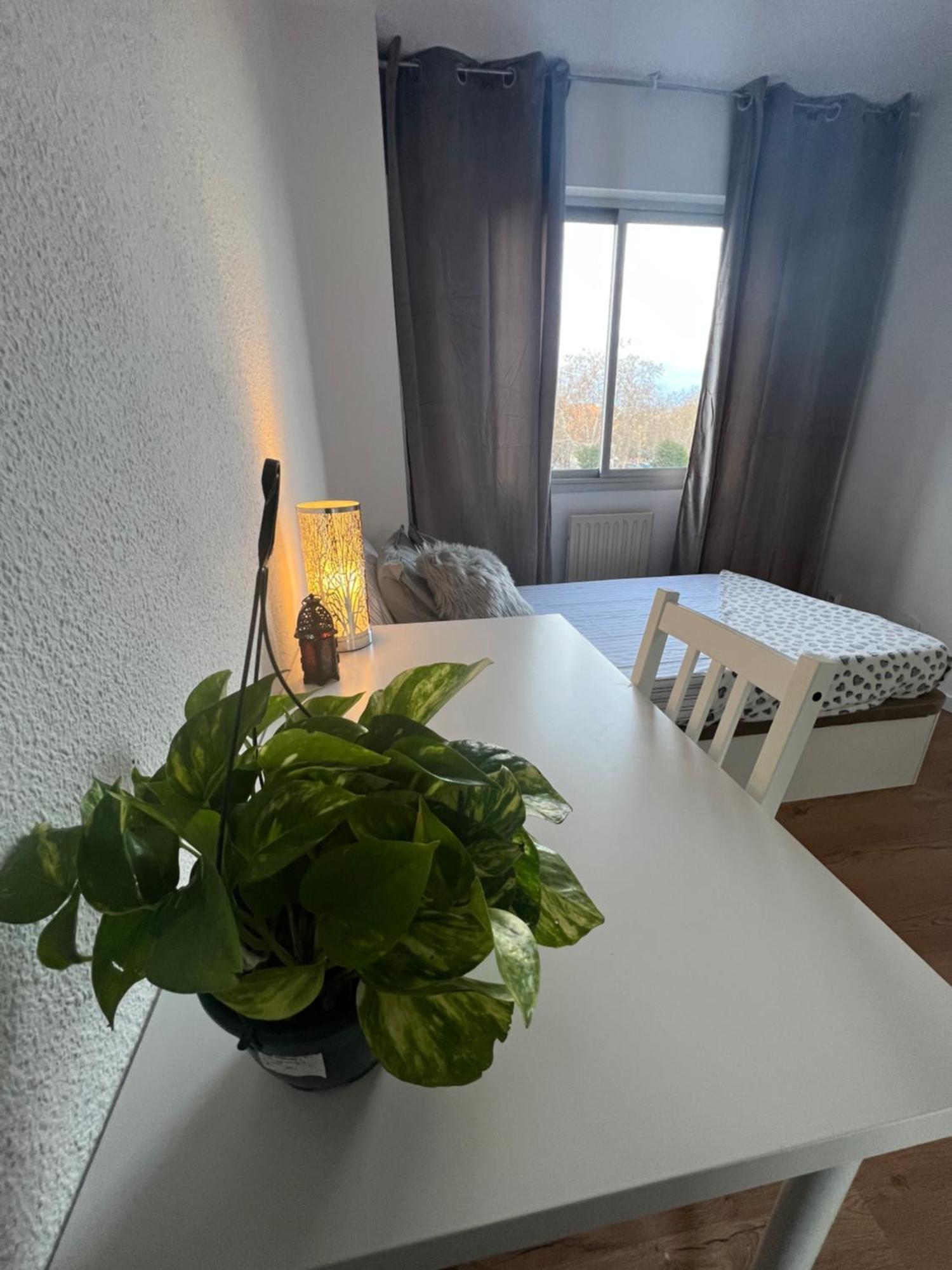 Habitacion En Madrid Dış mekan fotoğraf